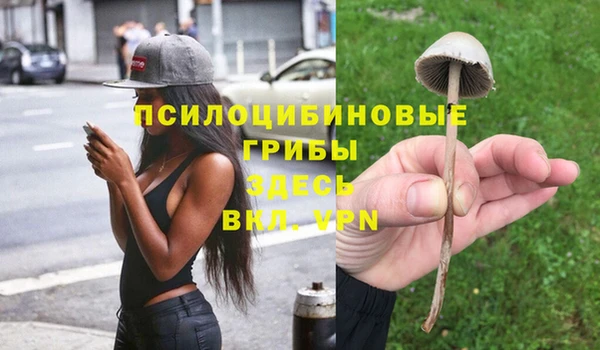 не бодяженный Белая Холуница
