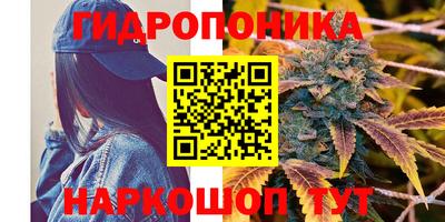 каннабис Гусиноозёрск