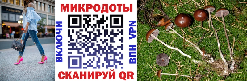 Псилоцибиновые грибы GOLDEN TEACHER  что такое наркотик  Полысаево 