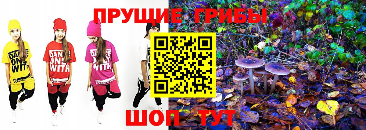 Галлюциногенные грибы GOLDEN TEACHER  Полысаево  Галлюциногенные грибы Magic Shrooms 