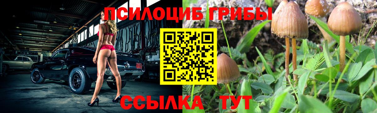 Полысаево  Молли  Вход с VPN  Амфетамин  МДМА  Мяу-Мяу  Кокаин  A PVP 
